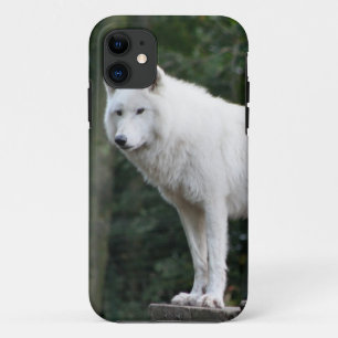 Tierwolf-Natur-FriedensLiebe-Schicksal iPhone 11 Hülle