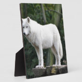 Tierwolf-Natur-FriedensLiebe-Schicksal Fotoplatte (Seite)