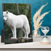 Tierwolf-Natur-FriedensLiebe-Schicksal Fotoplatte (Seite)