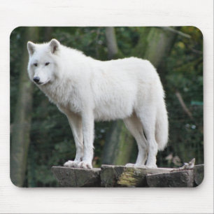Tierwolf-Natur-FriedensLiebe-Schicksal Mousepad