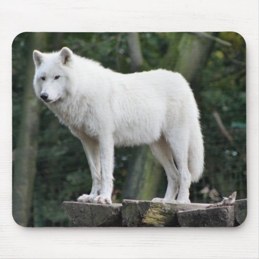 Tierwolf-Natur-FriedensLiebe-Schicksal Mousepad (Vorne)