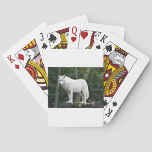 Tierwolf-Natur-FriedensLiebe-Schicksal Spielkarten