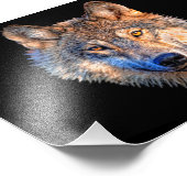 Tierwolf. Scary Grey Wolf head Fotodruck (Ecke)