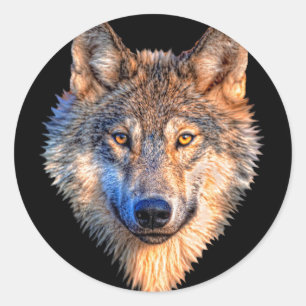 Tierwolf. Scary Grey Wolf head Runder Aufkleber