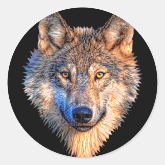 Tierwolf. Scary Grey Wolf head Runder Aufkleber (Vorderseite)