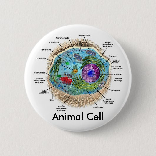 Tierzelle Button (Vorderseite)