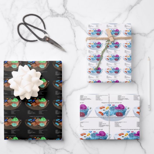 Tierzelle Geschenkpapier Set (Vorderseite)