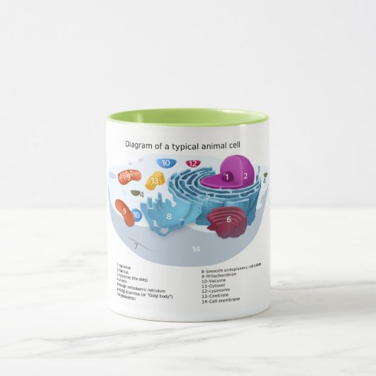 Tierzelle Tasse (Zentrum)