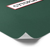 Tierzellen *AKTUALISIERT* Poster (Ecke)