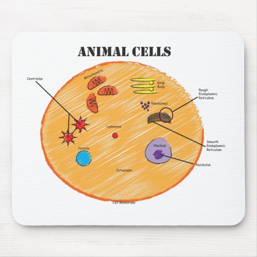 Tierzellen-Diagramm Mousepad (Vorne)