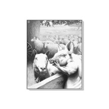 Tierzucht - Squealer