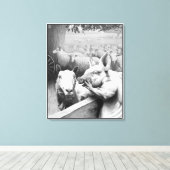 Tierzucht - Squealer Leinwanddruck (Insitu (Holzboden))