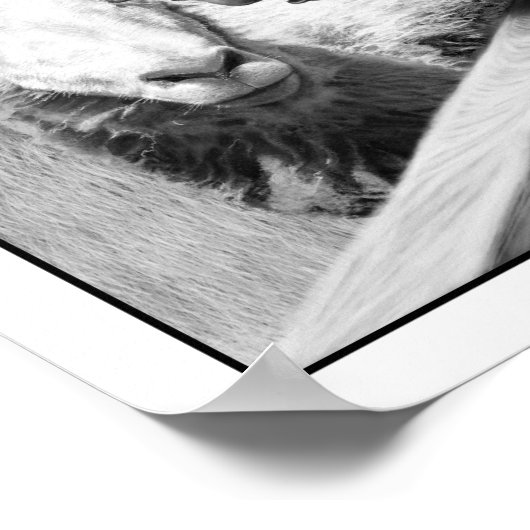 Tierzucht - Squealer Poster (Ecke)