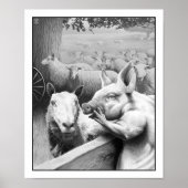 Tierzucht - Squealer Poster (Vorne)