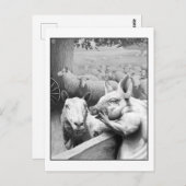 Tierzucht - Squealer Postkarte (Vorne/Hinten)