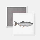 Tiete tetra magnet (Vorderseite/Rückseite)