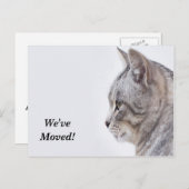 Tiffany Wir haben neue Postkarte (Vorne/Hinten)