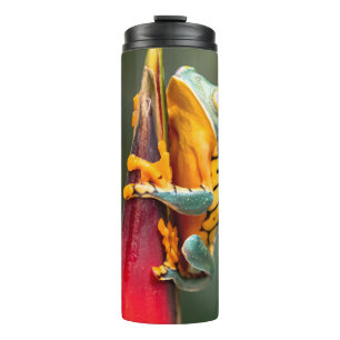 Tigelbeiniger Baumfrosch Grün Orange Thermosbecher