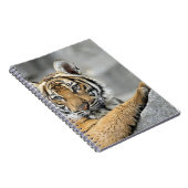 Tiger017 Notizblock (Rechte Seite)