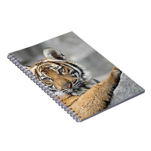 Tiger017 Notizblock (Rechte Seite)