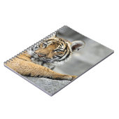 Tiger017 Notizblock (Linke Seite)