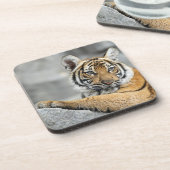 Tiger16 Getränkeuntersetzer (Linke Seite)