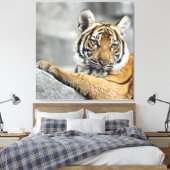 Tiger16 Leinwanddruck (Insitu (Schlafzimmer))