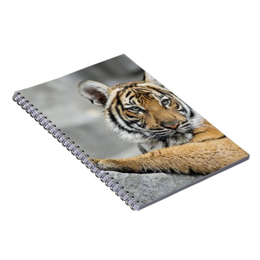 Tiger16 Notizblock (Rechte Seite)