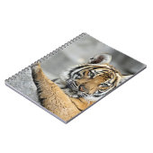 Tiger16 Notizblock (Linke Seite)