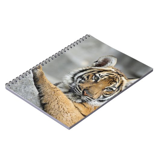 Tiger16 Notizblock (Linke Seite)