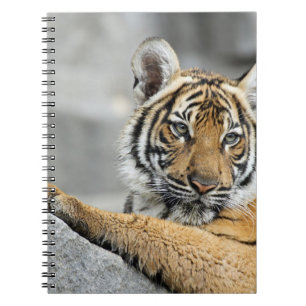 Tiger16 Notizblock