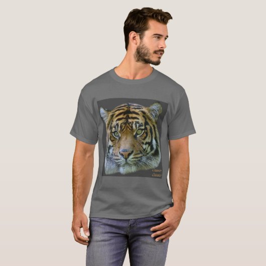 tiger1_dk.grey/bgrnd T-Shirt (Vorne ganz)