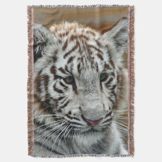 Tiger20151001 Decke (Vorderseite Vertikal)