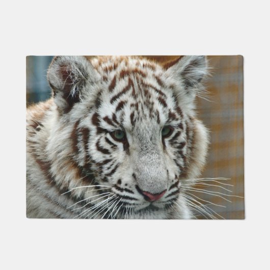 Tiger20151001 Fußmatte (Vorderseite)
