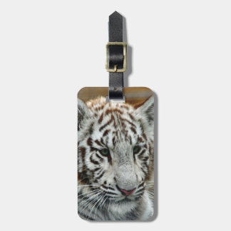 Tiger20151001 Gepäckanhänger