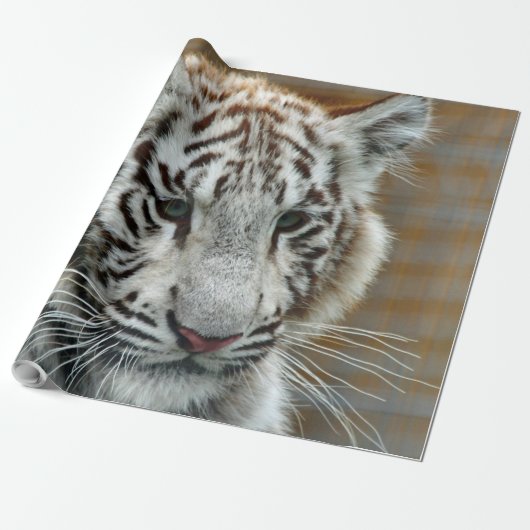 Tiger20151001 Geschenkpapier (Ungerollt)