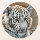 Tiger20151001 Runder Pappuntersetzer (Vorderseite)