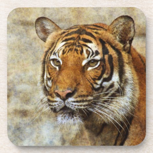 Tiger20151202 Untersetzer (Vorderseite)
