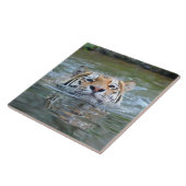 Tiger20160201 Fliese (Seite)