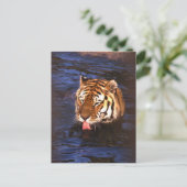 Tiger2 Postkarte (Stehend Vorderseite)