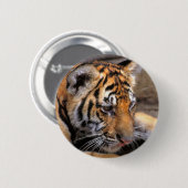 Tiger38 Button (Vorne & Hinten)