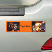 Tiger4ever Autoaufkleber (Auf Auto)
