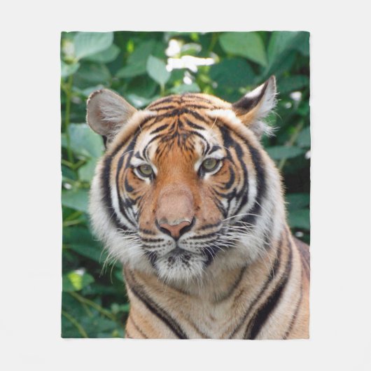 Tiger 001 fleecedecke (Vorderseite)