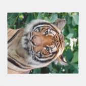 Tiger 001 fleecedecke (Vorderseite (Horizontal))