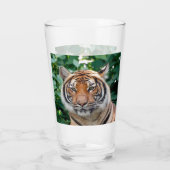 Tiger 001 glas (Rückseite)