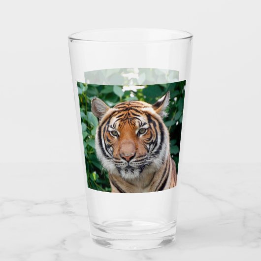 Tiger 001 glas (Vorderseite)