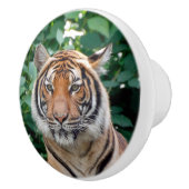 Tiger 001 keramikknauf (Rechts)