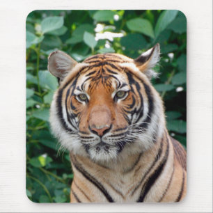 Tiger 001 mousepad
