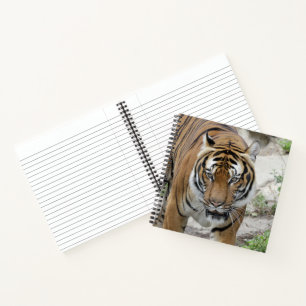 Tiger_001 Notizblock