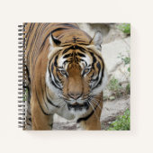 Tiger_001 Notizblock (Vorderseite)